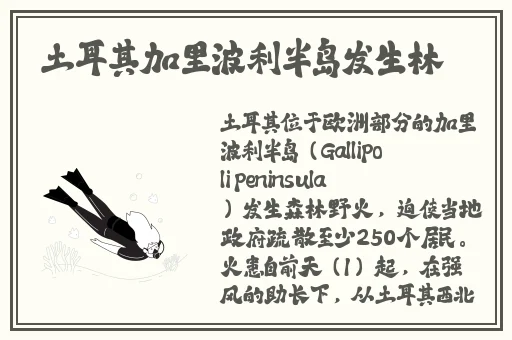 离婚了天天跑去日前妻